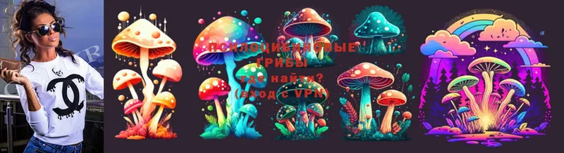 купить  сайты  Хабаровск  Псилоцибиновые грибы Magic Shrooms 